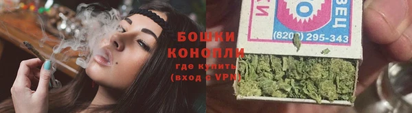 spice Карпинск