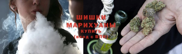 гидра Касимов