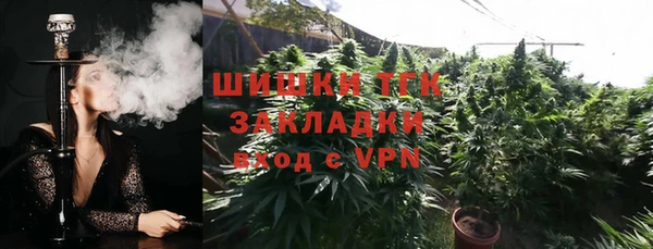 гидра Касимов