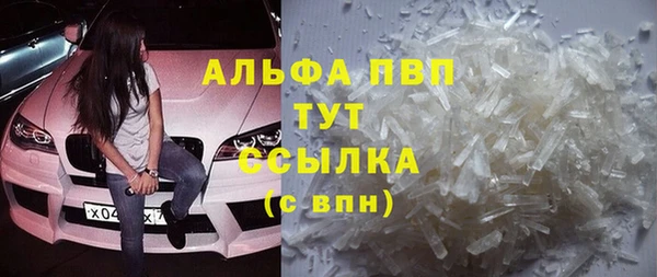 гидра Касимов